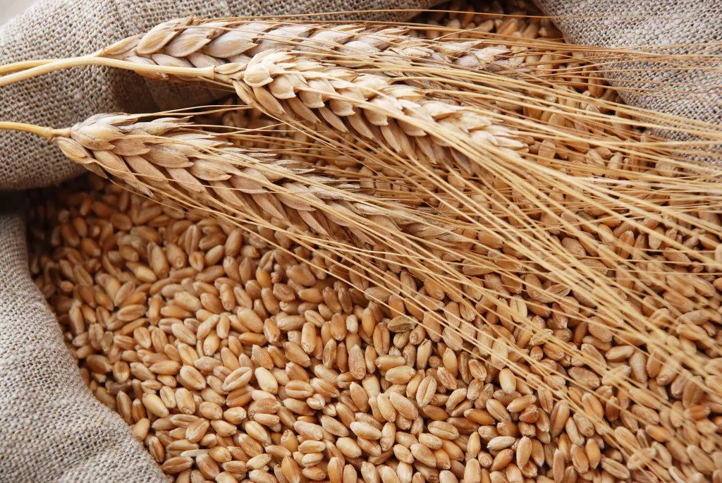 фотография продукта Закупаем пшеницу 3,4,5 классов!
